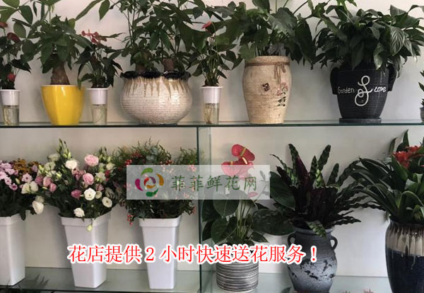 海东市花店提供海东市2小时快速送花服务